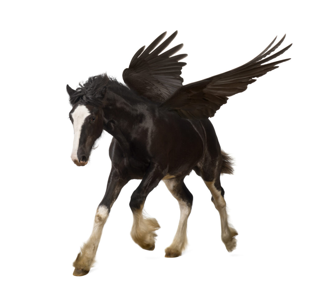 Schwarzes Pferd mit Flügeln