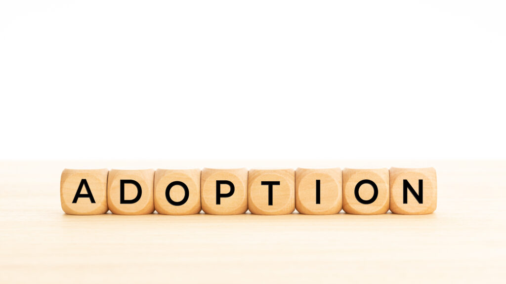 Adoption auf Würfeln geschrieben