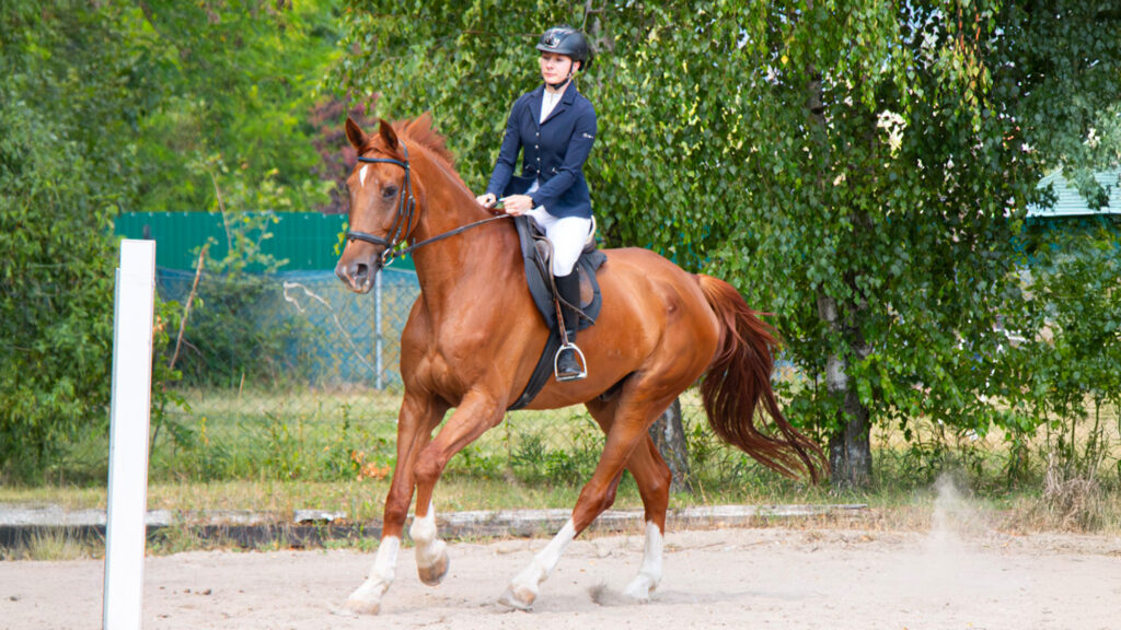 Isabella Stampf steht mit Hufbearbeitung Stampf für entspannte, individuelle Hufpflege in Schwarzenbach in Niederösterreich mit viel Einfühlungsvermögen.