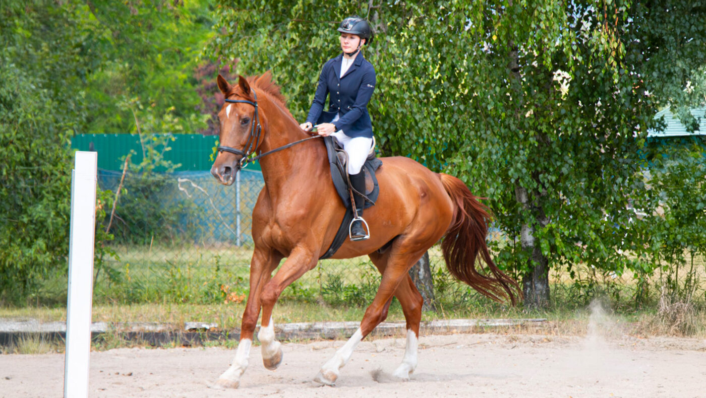Isabella Stampf steht mit Hufbearbeitung Stampf für entspannte, individuelle Hufpflege in Schwarzenbach in Niederösterreich mit viel Einfühlungsvermögen.