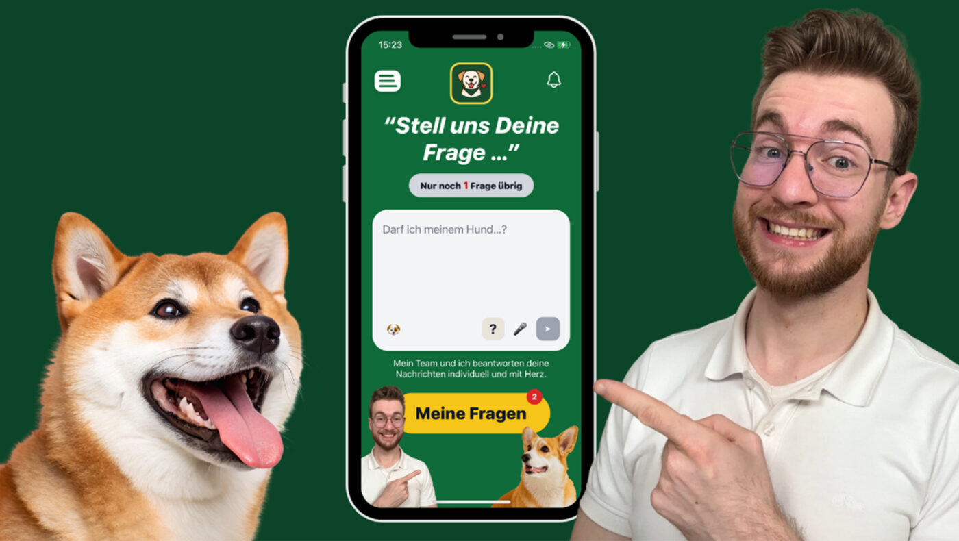 Die Wuffio App bietet Tipps für Hundebesitzer und hilft, fundierte Entscheidungen in der Hundepflege zu treffen.