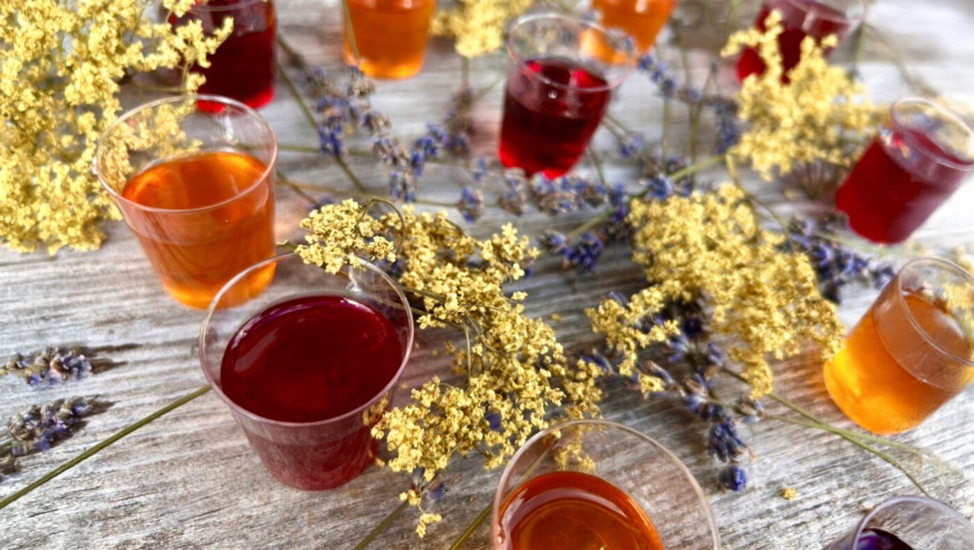 Kräutertraums Catering begeistert mit regionalen Kräuterdrinks, Sirupen und handgemachten Kräutercocktails für Events in der Steiermark.