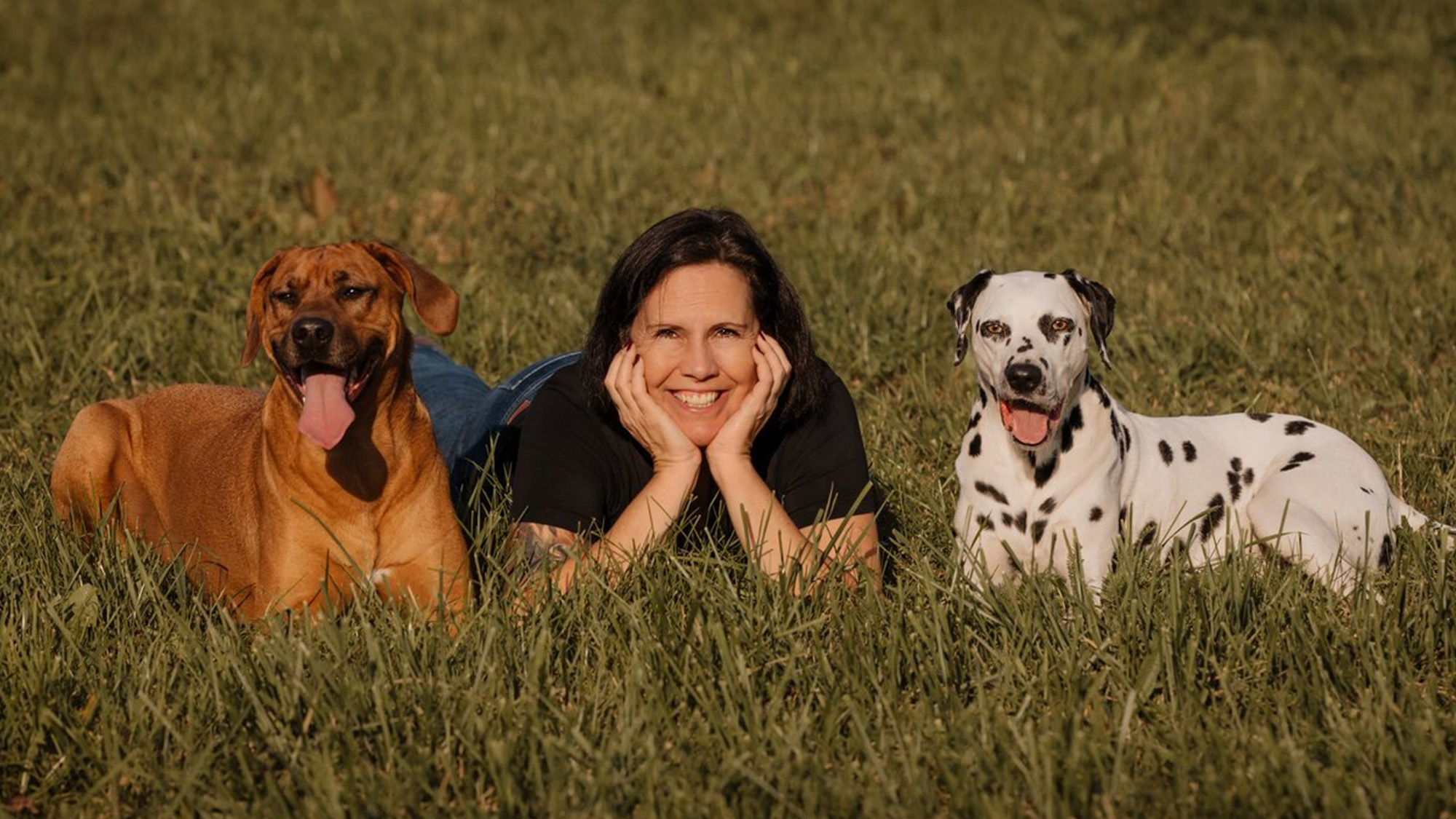 GOODOGS – Ihr Coach für alle Felle: Alltagstraining, Ursachenanalyse und emotionale Stabilität für Hund und Mensch.