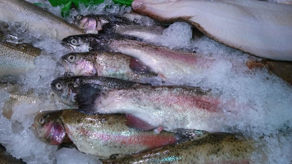 Frischer Fisch aus der Fischzucht Oberwasser liegt auf Eis in der neuen Fischbar in Wien – Foto: PublicDomainPictures / Pixabay